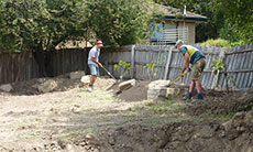 Mitcham - Front Garden (Before)