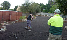 Mitcham - Front Garden (After)